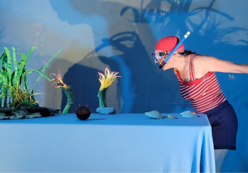 Spectacle grand plongeon