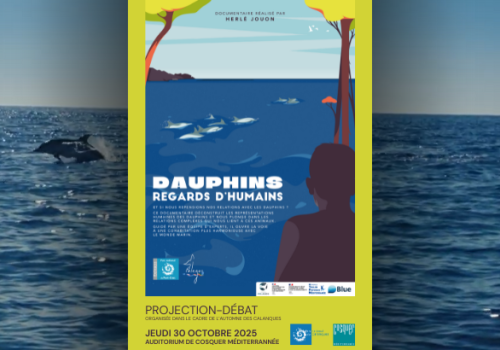 Visuel Projection Dauphins, regards d'humains