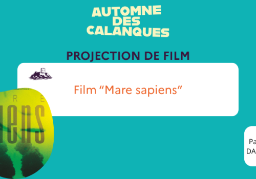 Film Mare sapiens