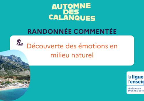 ligue de l'enseignement