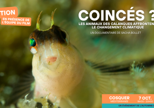 Visuel coincés