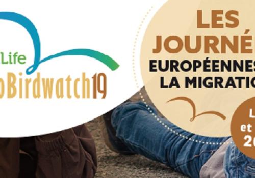 euro-bird-watch-2019-parc-calanques-marseille-cassis-la-ciotat.jpg