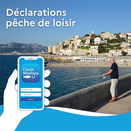 Déclaration pêche de loisir