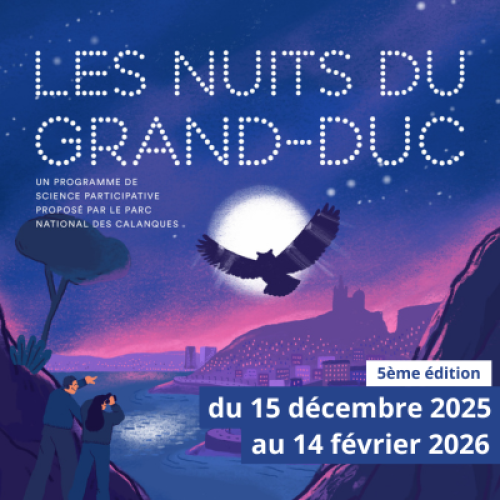 Visuel Nuits du Grand-Duc 2025