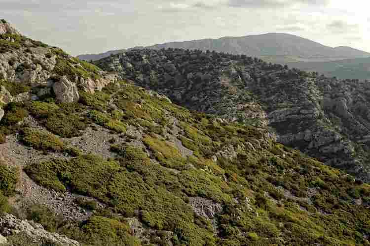 Hills and valleys Parc national des calanques