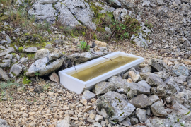 Image d'un abreuvoir ancien