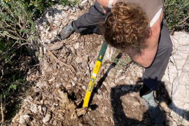 Sur un site en forte pente, l'arrachage est particulièrement physique