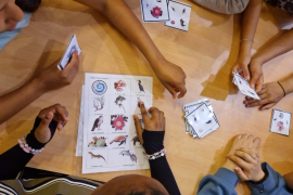 La 3ème Frida Khalo du collège Joséphine Baker a créé une série de jeux sur la découverte des Calanques