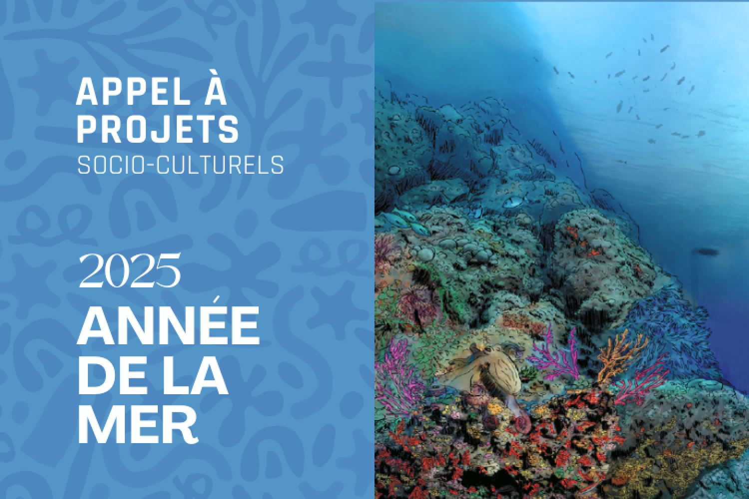 Visuel appel à projet 2025 année de la mer