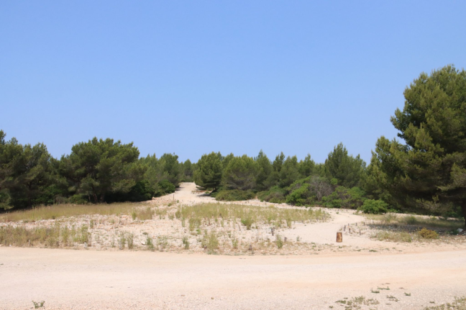 Le col de la Gardiole renaturé après les travaux