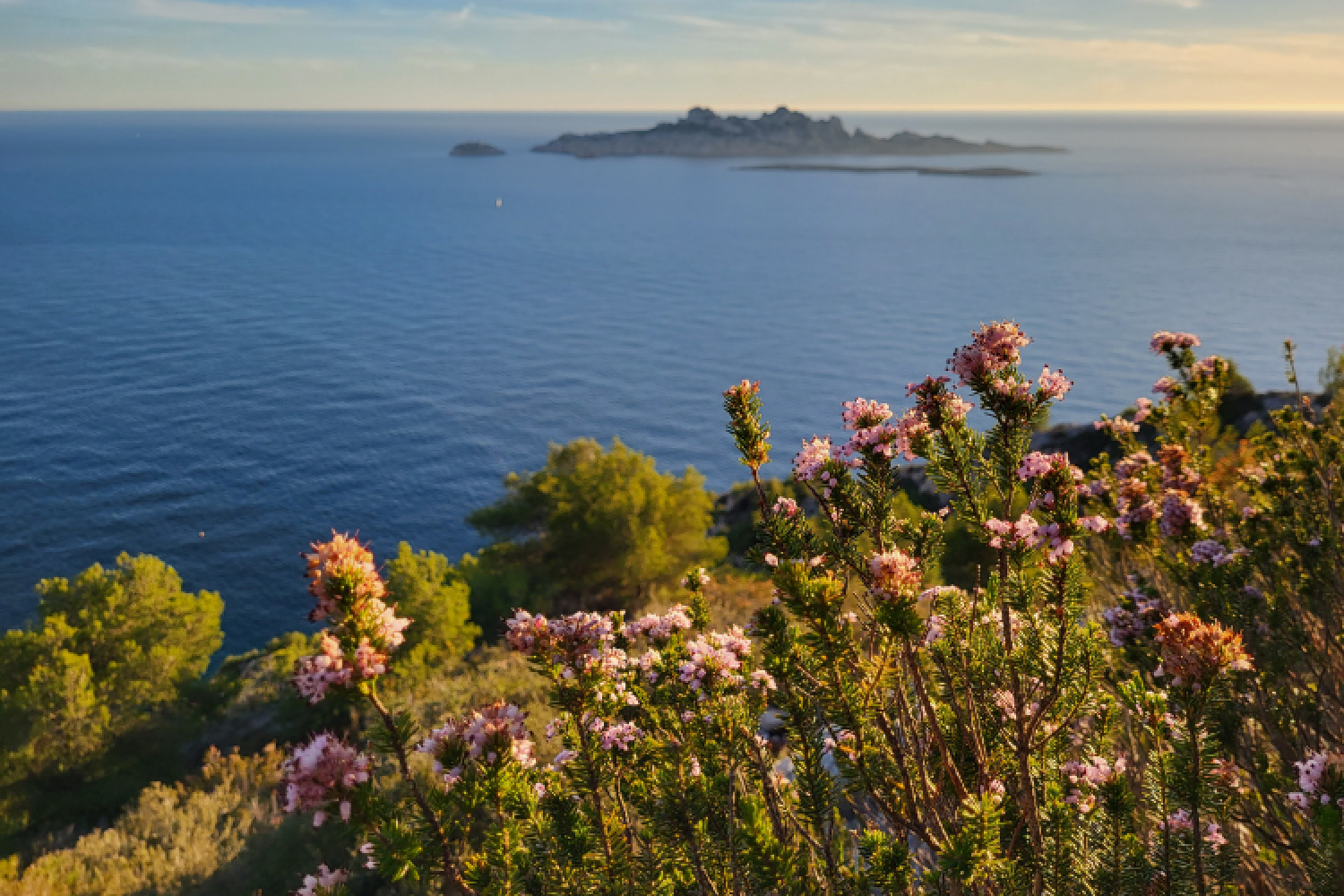 Vue sur Riou