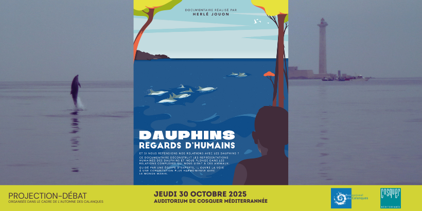 Visuel Dauphins regards d'humains
