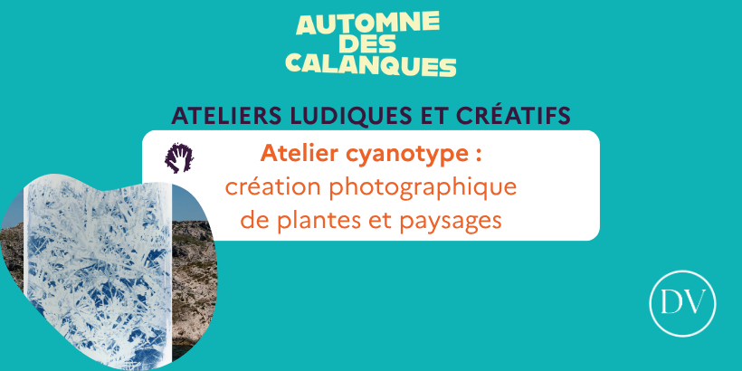atelier cyanotype