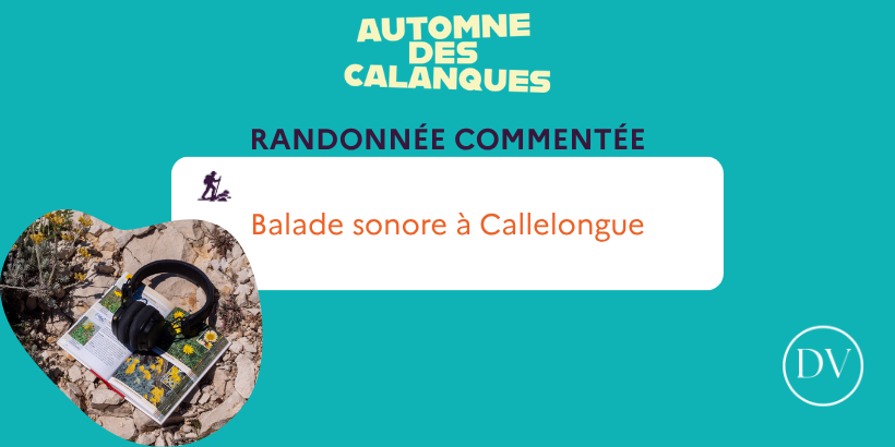 balade sonore DV