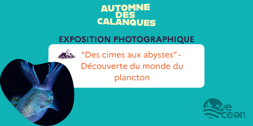 Expo photo WeOcean