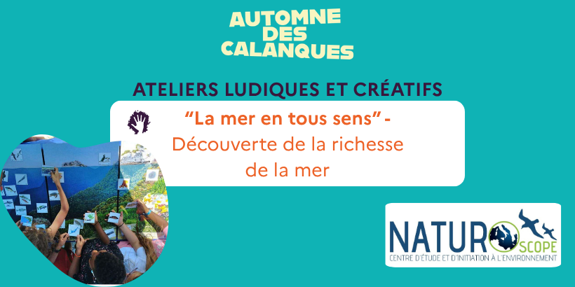 La mer en tous sens